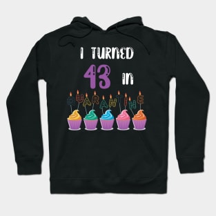 I Turned 43 In Quarantine funny idea birthday t-shirt Hoodie